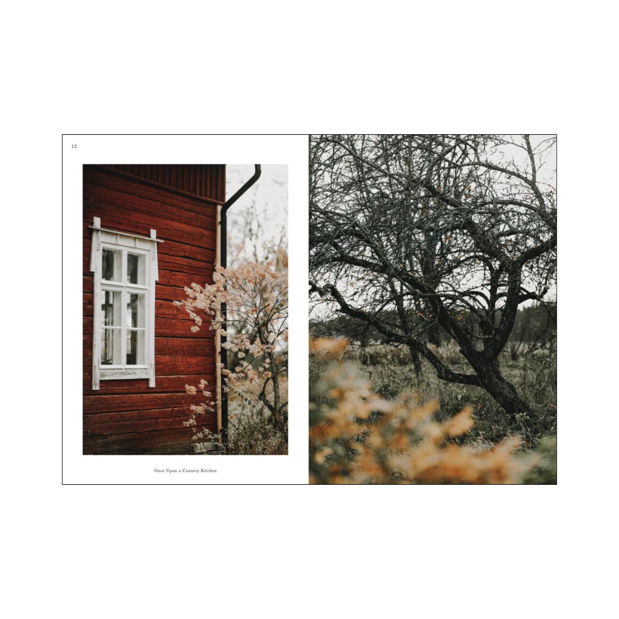 Een gesplitste afbeelding paart een wit omlijst raam van een rood houten huis - een echo van boerderijsmaken - aan een boom zonder bladeren in een gedempt landschap, wat de geest van het Once Upon A Country Kitchen Kookboek van Cozy Publishing perfect weergeeft.