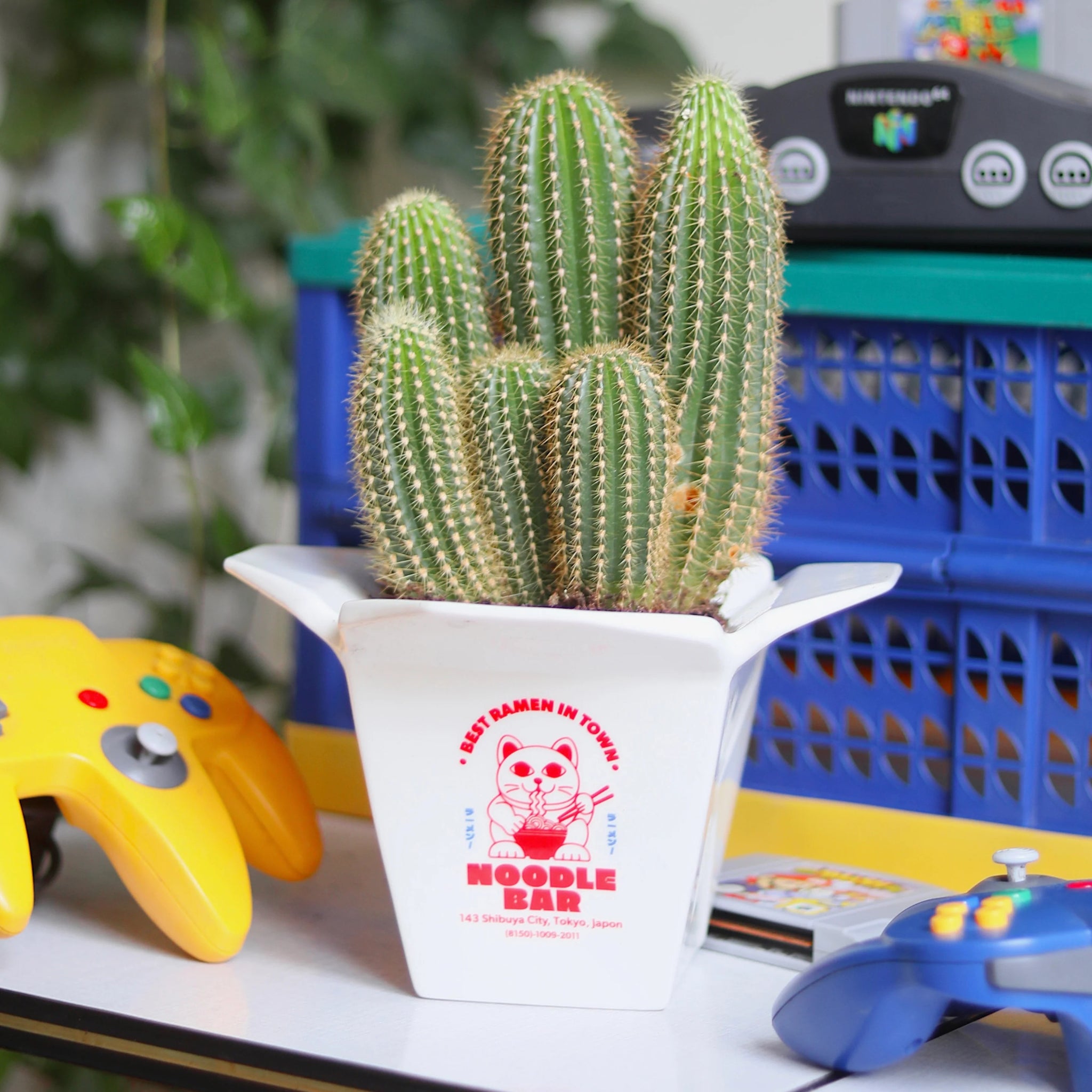 Een hoge, groene cactus groeit in een witte Fluid Market Ramen Pot - een keramisch stuk van Fluid Market in de vorm van een afhaaldoos voor ramen met de naam Noodle Bar - op een tafel met kleurrijke gamecontrollers en een Nintendo 64-console op de achtergrond.