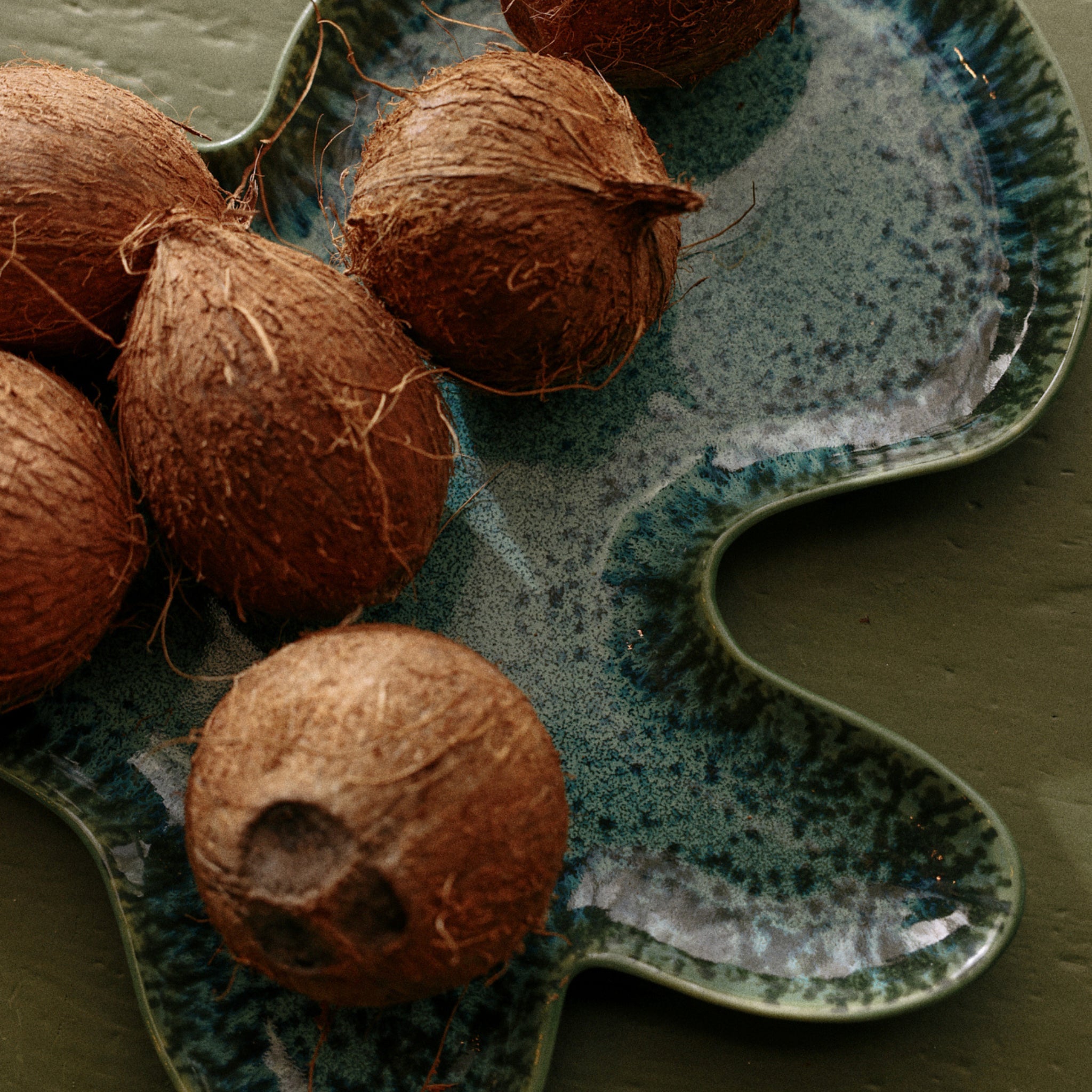 Vijf hele kokosnoten met ruwe bruine schelpen zijn gerangschikt op een olijfgroene ondergrond van HK Living Shell Schaal Teal.