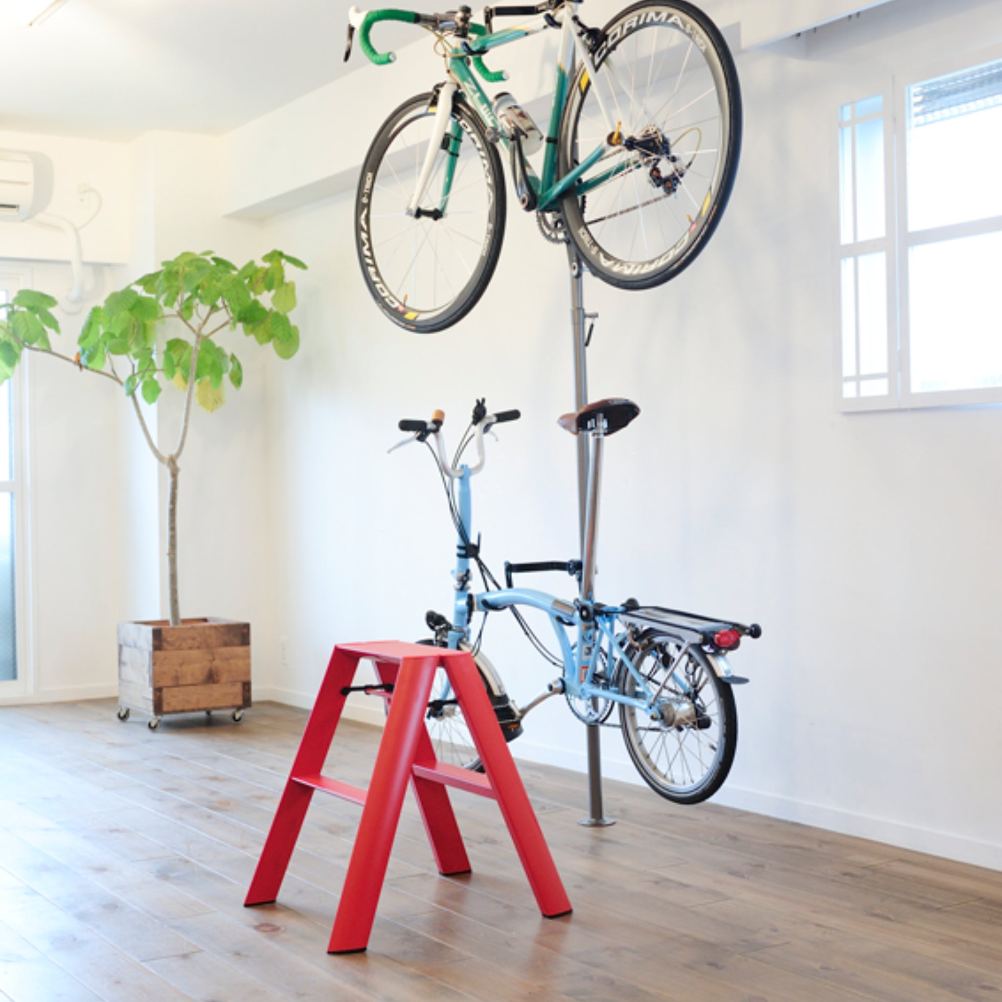 Een moderne, lichte Japans geïnspireerde kamer met houten vloeren heeft twee fietsen op een metalen rek, de Hasegawa Lucano Ladder 2 Step Rood van Hasegawa in rood, een grote potplant en zonlicht dat door het raam naar binnen schijnt.