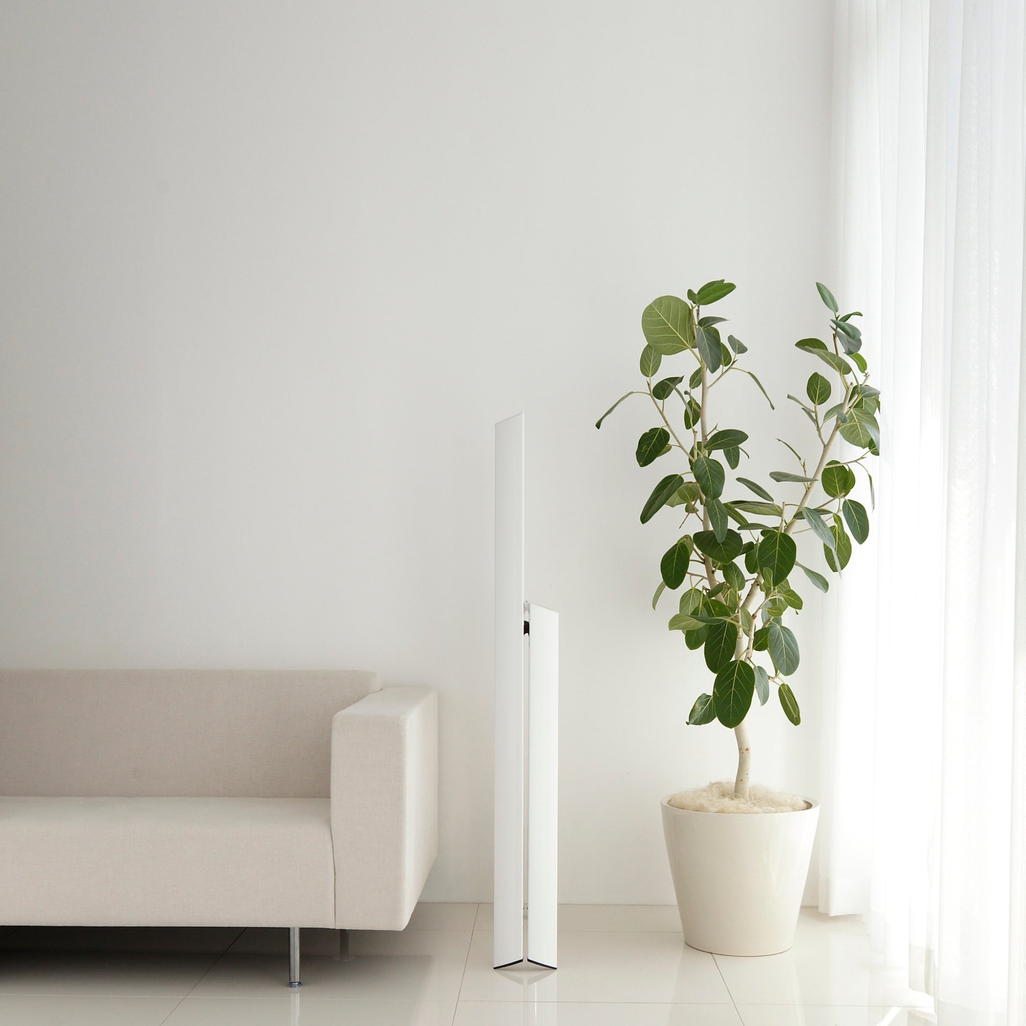 Een minimalistische woonkamer met een lichtbeige bank, een hoge potplant en transparante witte gordijnen. De Hasegawa Lucano Ladder 3 Step Wit van Hasegawa leunt stijlvol tegen de helderwitte muren en tegelvloer.