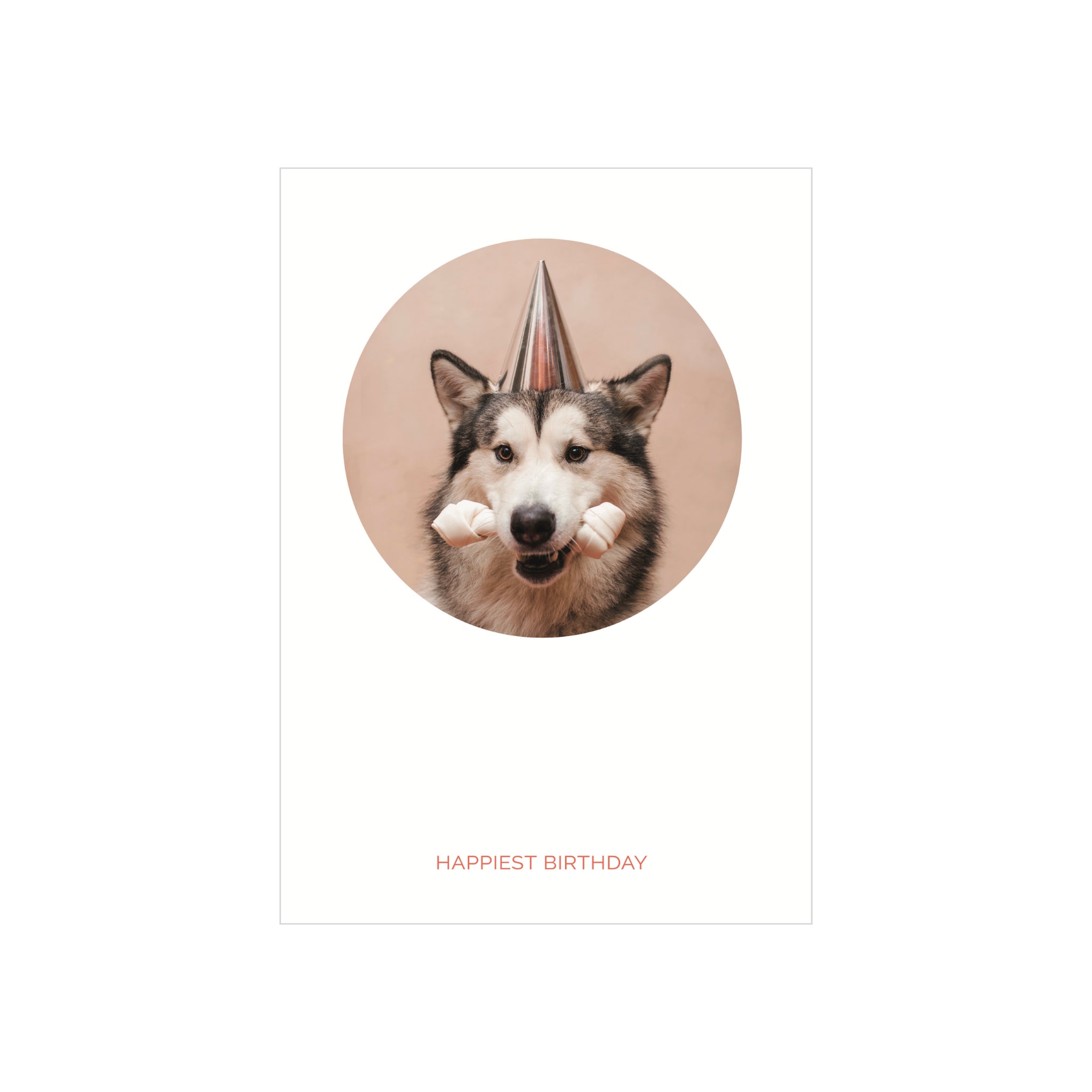 Op de Matriks Postkaart Cirkel Happiest Birthday Hond Dubbel A6 staat een vrolijke hond in een feestmuts met een traktatie in de vorm van een bot en "HAPPIEST BIRTHDAY" in vette rode hoofdletters op een witte achtergrond. Merk: Matriks.