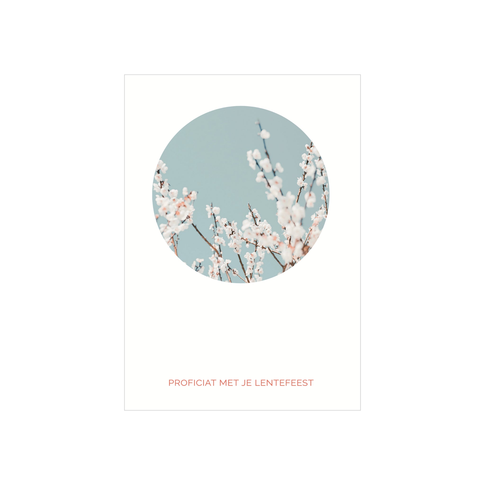 De Matriks Postkaart Cirkel Proficiat Met Je Lentefeest Dubbel A6 is een minimalistische wenskaart met een ronde foto van bloeiende takken en de Nederlandse tekst "Proficiat met je lentefeest" op de voorkant.