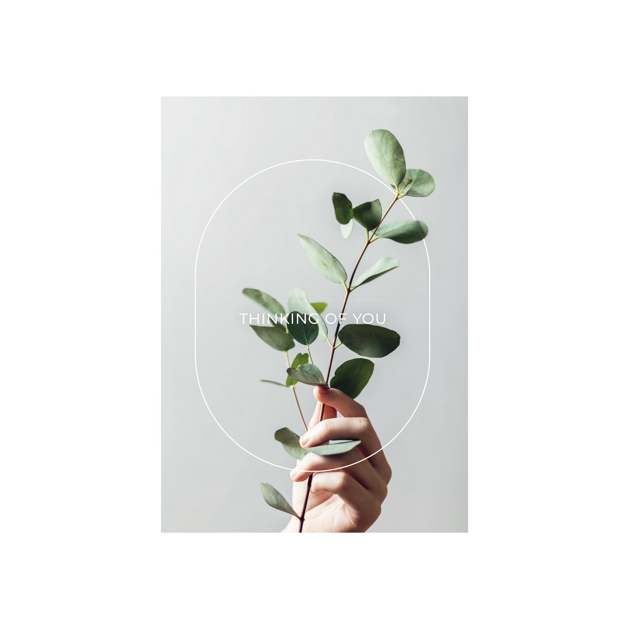 Een hand houdt een groene bladertak vast tegen een lichtgrijze achtergrond op de Matriks Postkaart Lijn Thinking Of You Dubbel A6 van Matriks, met "THINKING OF YOU" in witte tekst gecentreerd in een dunne ovaal.