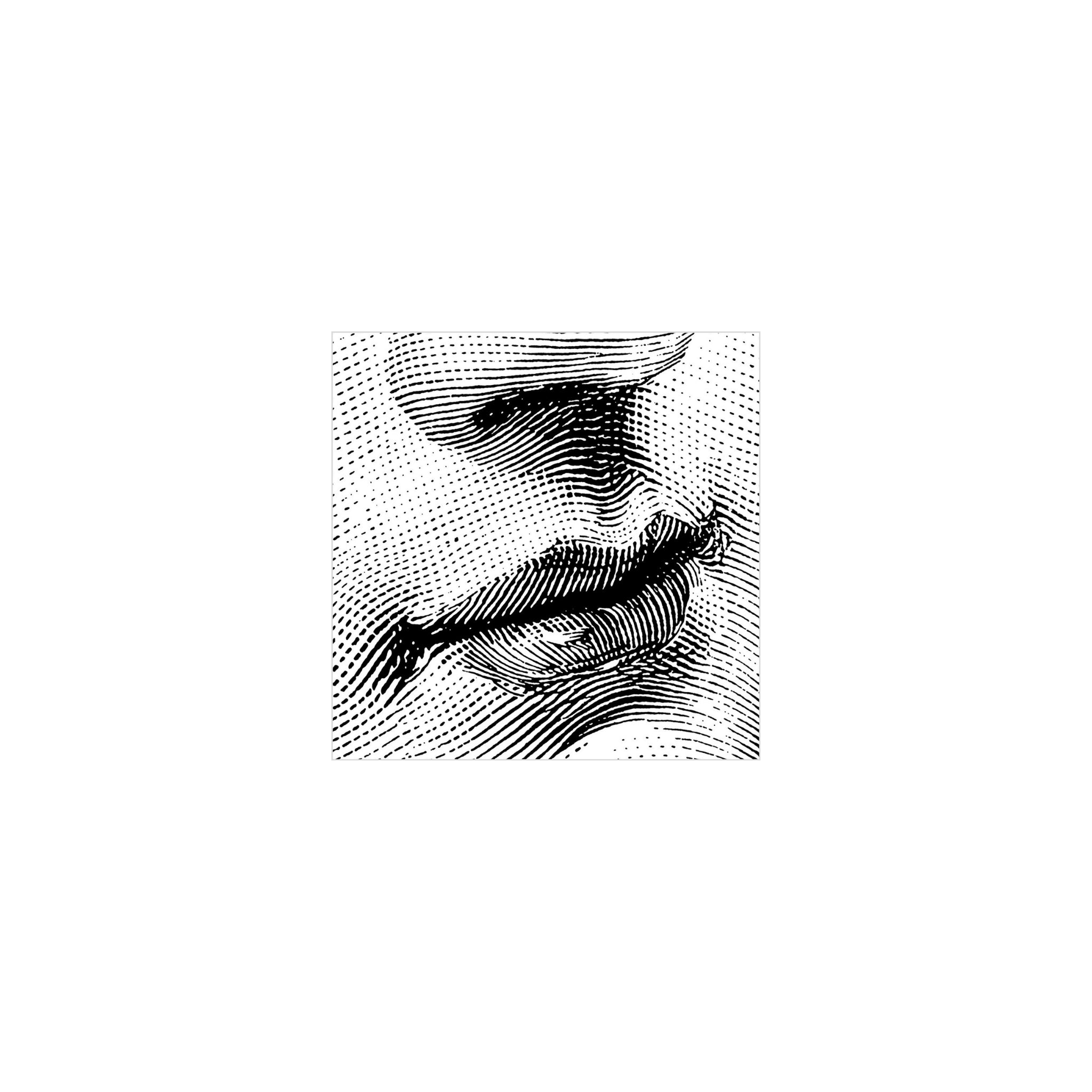 Zwart-wit illustratie van een mond en neus met arceringen, wat een vintage graveereffect geeft - ideaal voor tafelschikking op PPD Papieren Servetten Kus 25/25 van PPD.