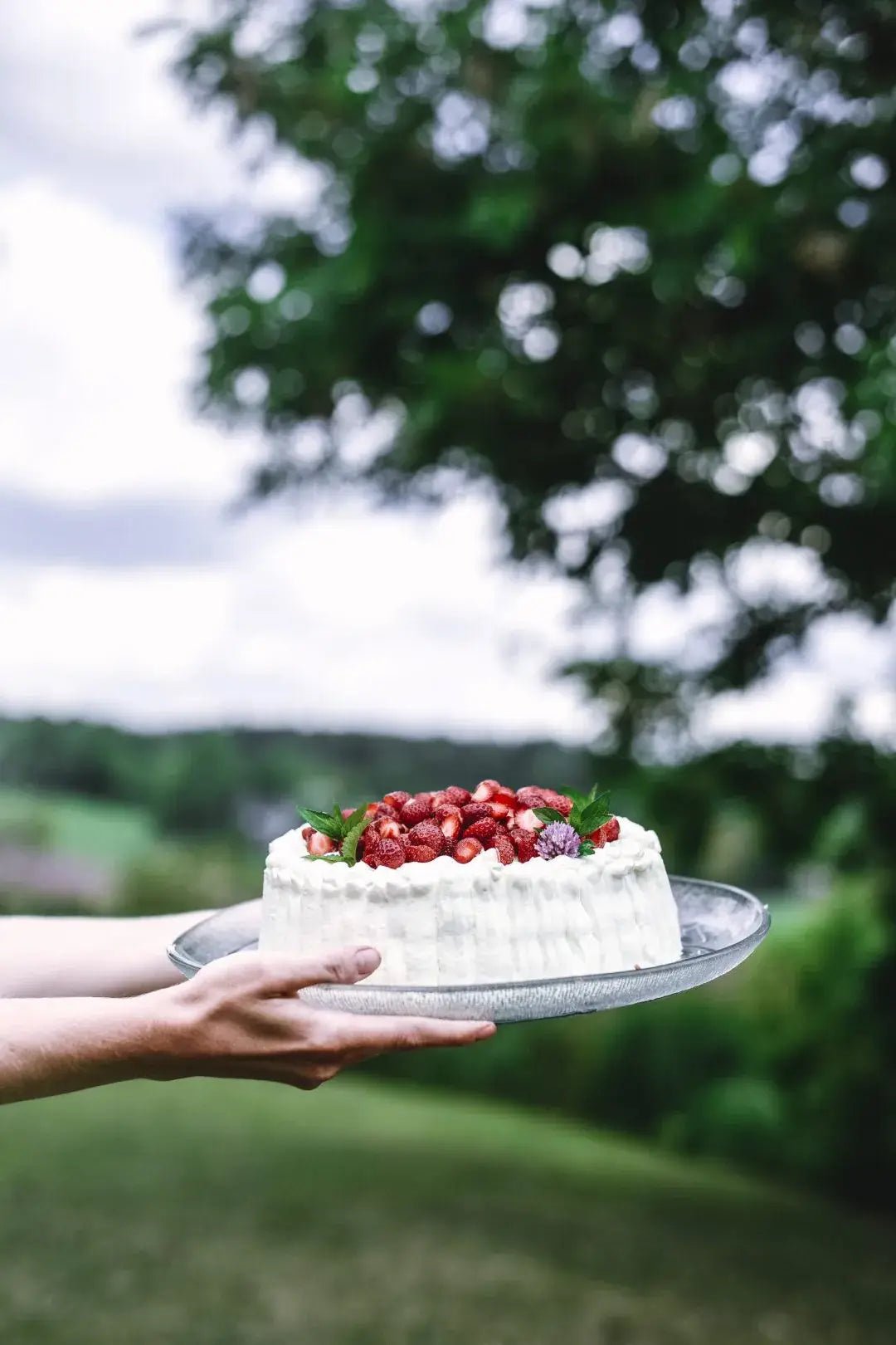 Iemand houdt een ronde cake met wit glazuur, aardbeien en muntblaadjes vast op een zilveren dienblad. Dit brengt zoete momenten uit het Kookboek Eet Finland van Cozy Publishing tot leven tegen een onscherpe groene achtergrond.