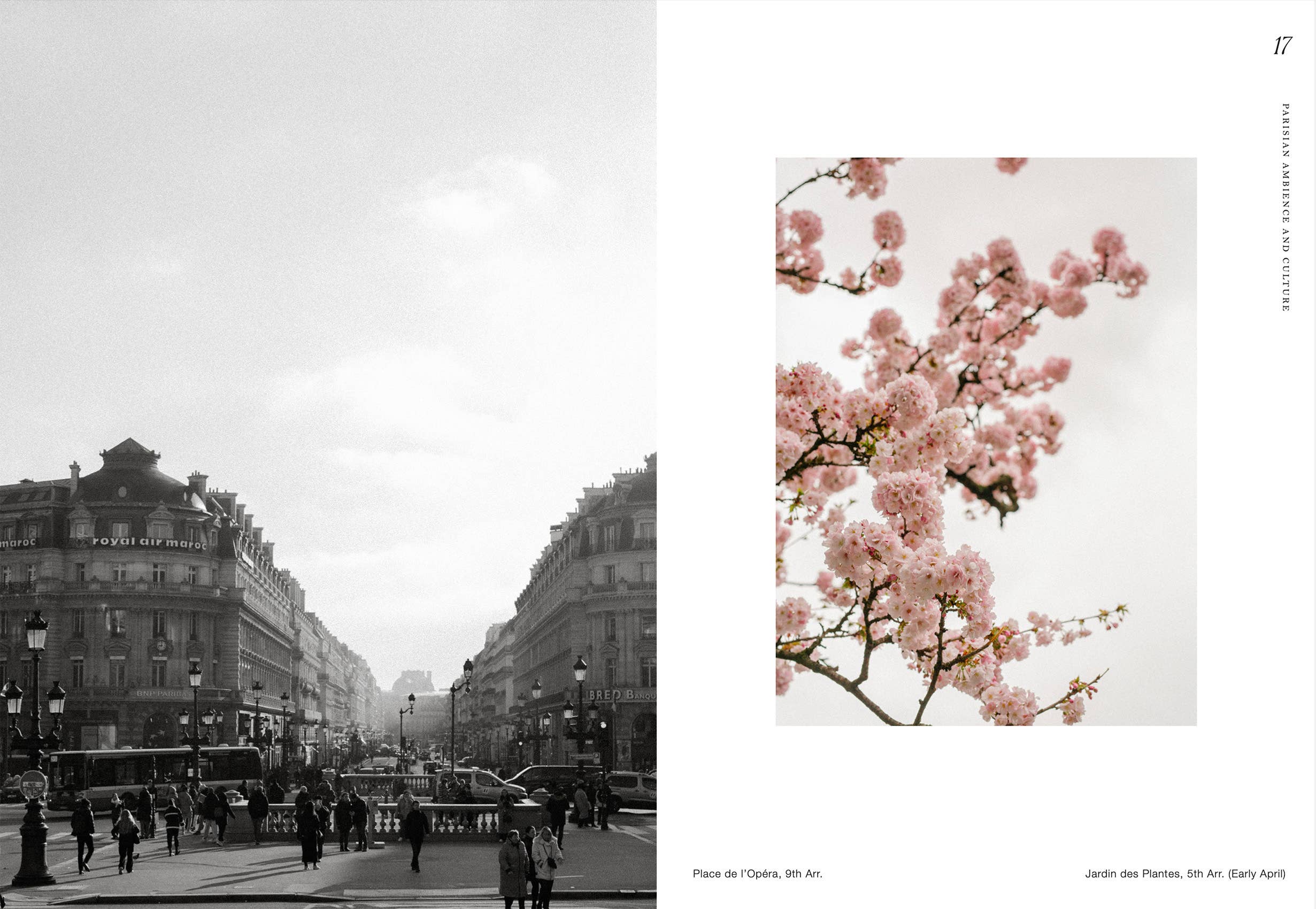 Zwart-witfoto van een levendige Parijse straat met historische gebouwen naast een kleurenfoto van roze kersenbloesems met het label "begin april" - de perfecte inspiratie voor uw Cozy Publishing Parijs Dromerige Tips voor de Stad van de Liefde Reisgids.