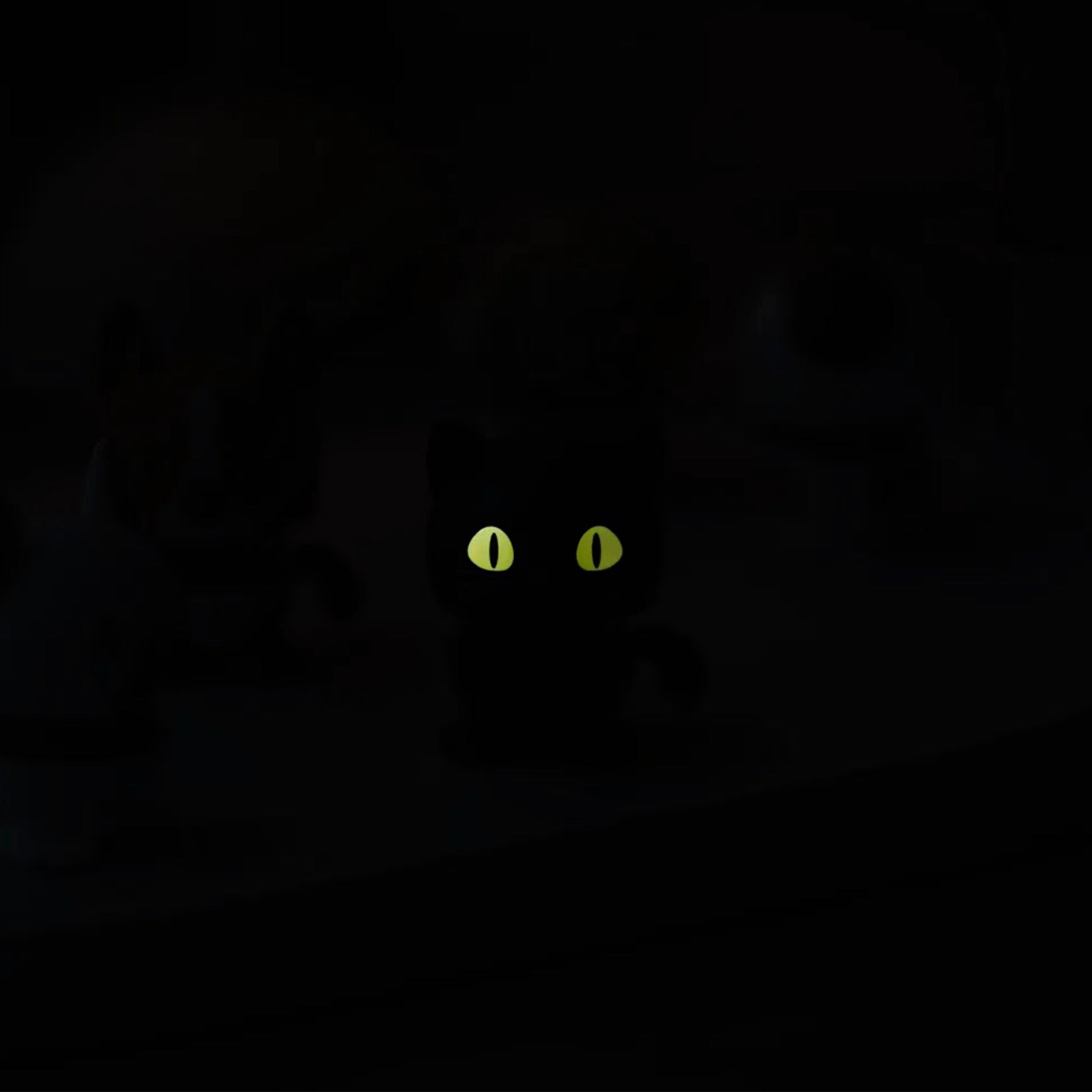 Een bijna zwarte afbeelding toont alleen de geelgroene oplichtende ogen van de Hoptimist Kat Zwart XS van Hoptimist, en creëert een mysterieuze sfeer in het donker - een ideaal cadeau voor kattenliefhebbers.