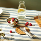 Een gestreept tafelkleed toont een kom ijs met bessen, een karaf citroenwater, een glas en een Alessi Koki Ijslepel op een onderzetter, met frambozen verspreid.