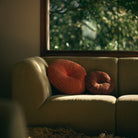 Twee HK Living Ripple Rond Kussen Sienna D50 kussens liggen op een beige bank bij een zonovergoten raam met uitzicht op weelderig groene bomen, waardoor de ruimte wordt gevuld met warm, natuurlijk licht.