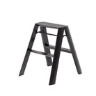 Hasegawa Lucano Ladder 2 Step Zwart