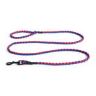 De Hay Dogs Leiband Braid Rood Blauw M/L van Hay, met lusgreep en zwarte metalen haak, ligt uitgestrekt op een witte achtergrond. Stijlvolle hondenlijn in rood en blauw voor modieuze wandelingen.