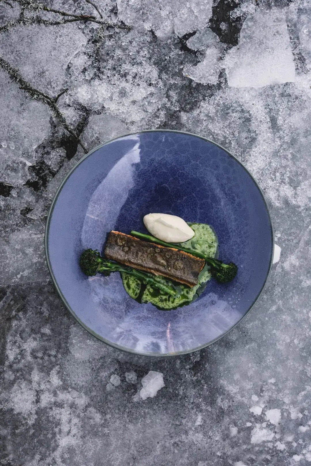 Een blauwe kom met geschroeide vis, groene saus, broccoli en witte room rust op een gebarsten, ijskoud oppervlak - de essentie van Finland zoals te zien in Cozy Publishing Eet Finland Kookboek van Cozy Publishing.