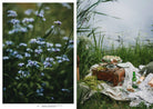 Links: Close-up van delicate blauwe wilde bloemen in een groene weide. Rechts: Picknick aan het meer met drankjes, cake, dekens en een rieten mand - perfecte inspiratie uit het Nordic Summer Kookboek van Cozy Publishing.