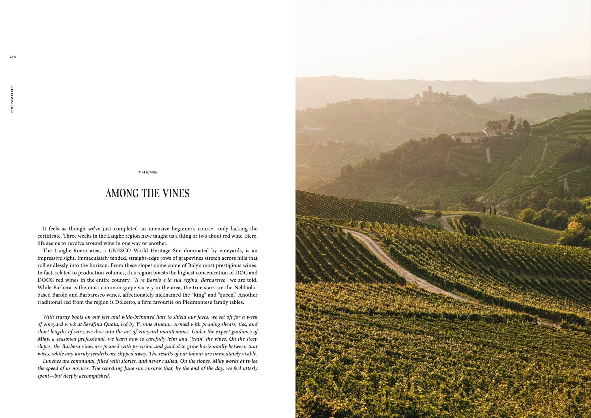 Een magazine spread getiteld "Among the Vines" verkent Italiaanse wijngaarden met inspiratie van de Cozy Publishing Somewhere in Italy Reisgids, met zonovergoten hellingen en weelderige wijnranken - een van de verborgen parels van Italië.